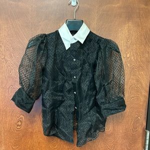 Zara Organza Swiss Dot Shirt with White Collar
